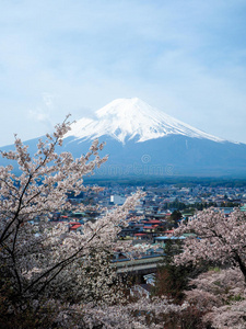 富士山。 还有樱花