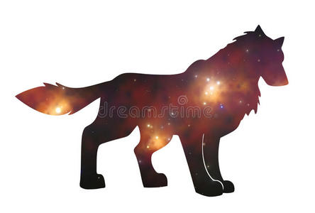 银河系 明星 星云 狐狸 自然 天文学 轮廓 哈士奇 动物