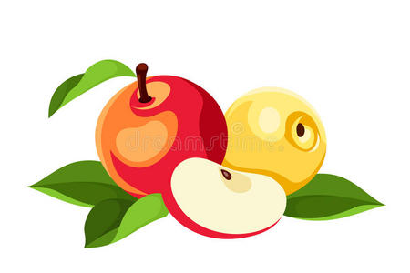 夏天 树叶 苹果 收获 西南 秋天 成熟 插图 营养 自然