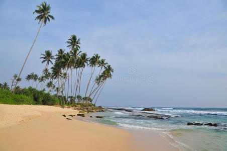 海滩上有白沙和棕榈树