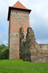 波兰城堡楚多