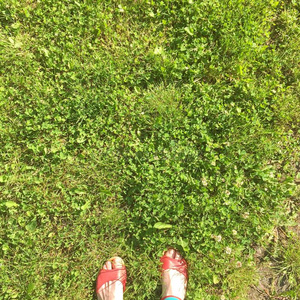 公园 自由的 假日 凉鞋 自然 脚趾 夏天 草坪 夏季 粉红色