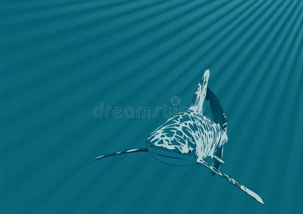 鲨鱼 潜水 颜色 危险的 游泳 动物 插图 深的 狩猎 轮廓
