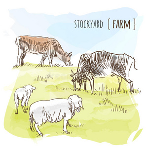 奶牛 绘画 土地 挤奶 放牧 动物 早晨 风景 草地 羊肉