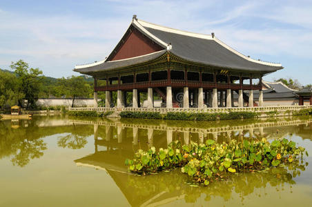 韩国 韩国人 历史 宝塔 宫殿 佛教 南方 建筑 亚洲 佛教徒