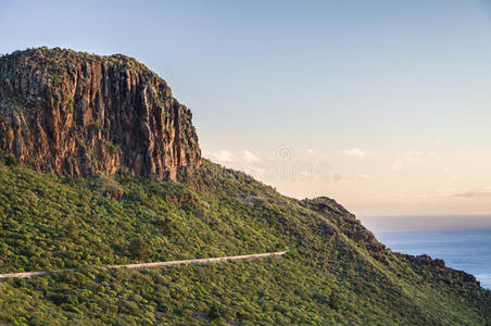 灌木 西班牙 美丽的 夏天 天空 岩石 风景 特内里费 太阳