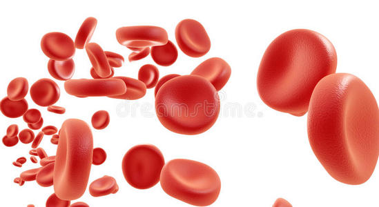 血细胞流动
