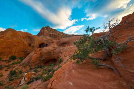 口袋 自然 美国人 美丽的 沙漠 岩石 形成 国家的 目的地
