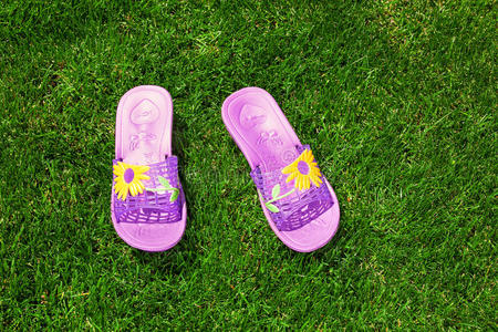 蓝色凉鞋拖鞋在草地上