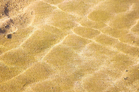 沙丘摩洛哥在非洲湿沙滩大西洋