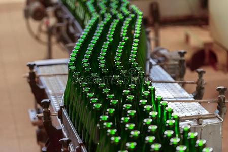 啤酒厂 瓶子 饮料 制造业 传送者 制造 流体 啤酒 酒精
