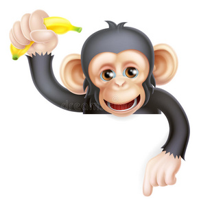 香蕉黑猩猩猴子指着