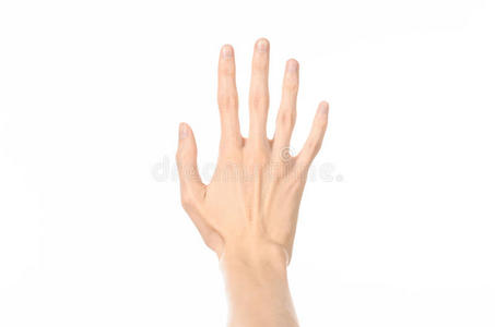 手势主题人类手势显示第一人称视图孤立在白色背景在工作室