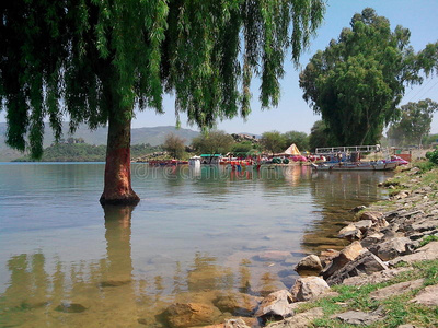 河口 湿地 反射 河道 水路 池塘 娱乐 塔克西拉 城市
