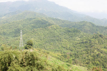 森林 高的 权力 风景 植物 电缆 环境 分布 建造 金属