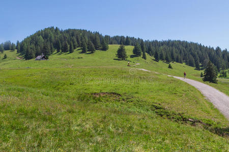 自然 颜色 草地 近的 奥地利 阿尔卑斯山 对比 风景 阳光