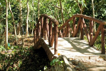 古老的 运河 建筑学 流动的 木材 自然 情景 材料 夏天