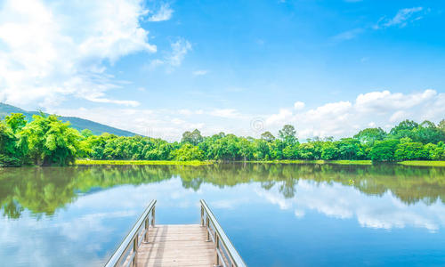 公司 全景图 海洋 美女 风景 颜色 和平 环境 秋天 小山