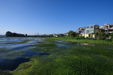 除了村庄外，还有肮脏的海港