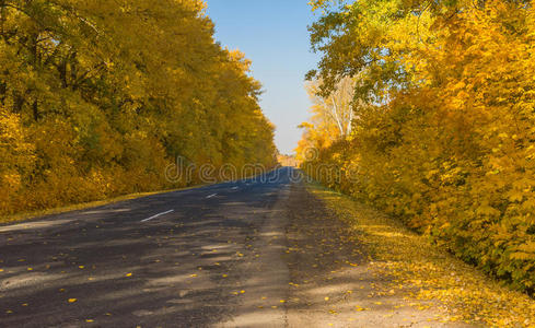 乌克兰中部空荡荡的农村公路