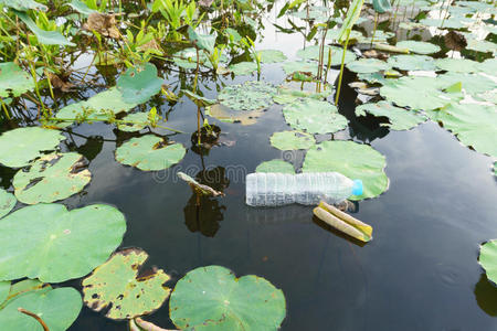 池塘 海洋 污染 浮动 倾倒 瓶子 环境 垃圾 自然 浪费