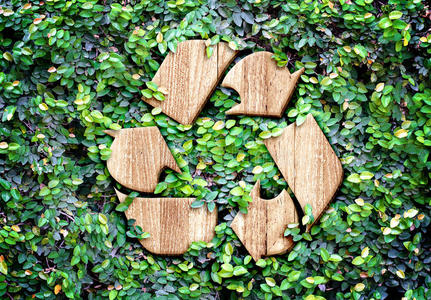 生态概念绿叶墙上的木材纹理回收图标