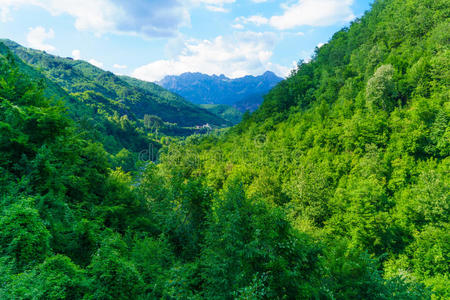 莫拉卡 风景 天线 流动的 美丽的 峡谷 颜色 自然 岩石