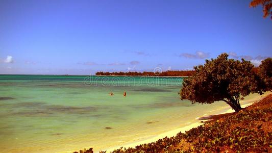 毛里求斯岛的海滩