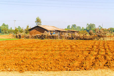 旅行 埃塞俄比亚 巴希尔 栽培 乡村 非洲 农事 达尔 风景