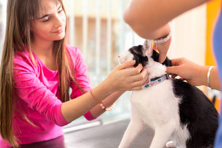 带着猫的女孩在兽医诊所安慰她的宠物