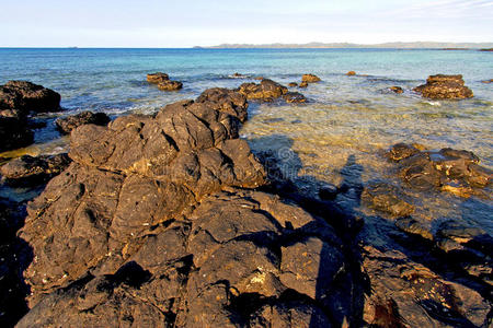 弯曲 小山 海藻 放松 地质学 阴影 多管闲事 海岸线 岩石