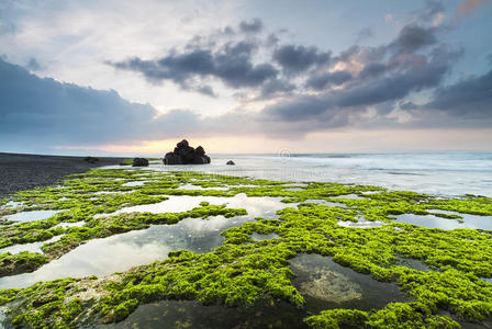 印度尼西亚巴厘岛的绿色岩石海滩。