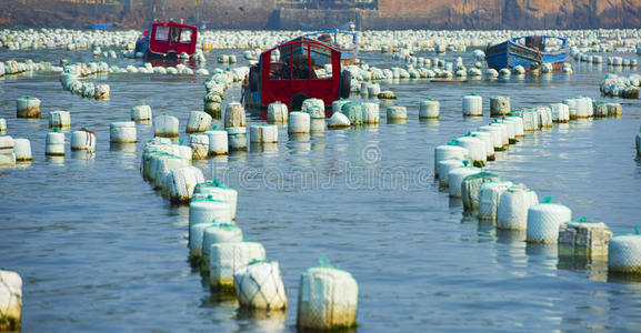 海上养鱼场