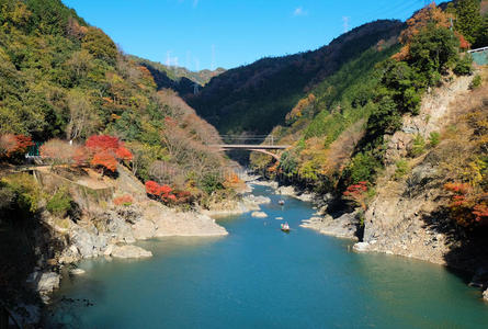 日本 秋天 美女 穿过 浮动 自然 日本人 颜色 落下 亚洲