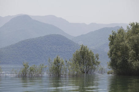 黑山斯卡达湖