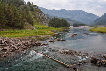 日志 岩石 空的 场景 风景 冷杉 小山 西伯利亚 沿着