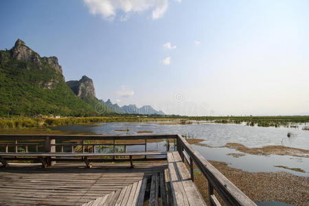 泰国 吸引力 风景 池塘 浮动 美丽的 放松 通路 亚洲