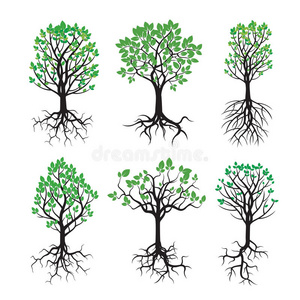 收集绿树和树根