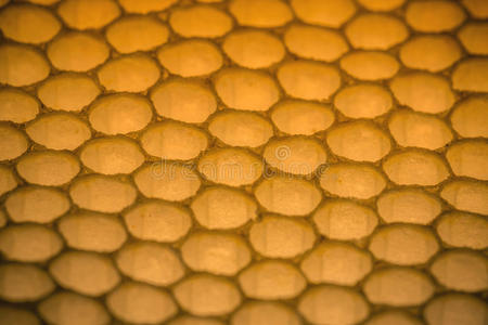 蜂窝状图案