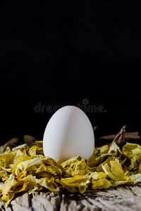 烹饪 农场 生活 木材 早餐 面粉 鸭子 厨房 蛋壳 鸡蛋