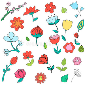不同颜色的花卉矢量插图