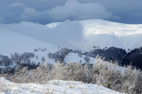 寒冷的冬季早晨在格姆巴山，喀尔巴阡山，乌克兰