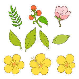 花卉元素矢量插图