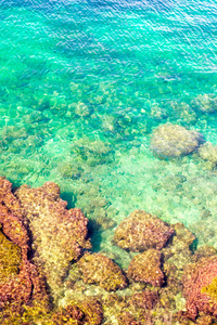 太阳 湖水蓝 复制 底部 身体 夏天 生活 场景 海滩 珊瑚