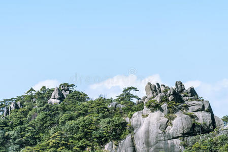 公园 旅行者 地区 海滨 遗产 状态 岩石 中国人 森林