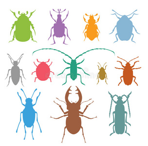 彩色昆虫矢量生物学收藏