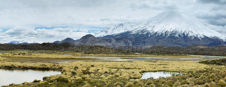高原 放牧 智利 地质学 国家的 劳卡 圆锥体 泻湖 表演