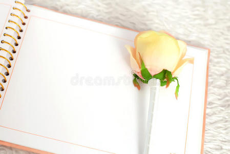 空白笔记本和玫瑰在白色地毯上