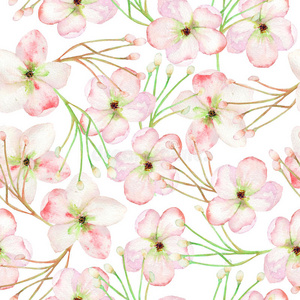 一种无缝的花卉图案，用粉红色的苹果树盛开的花朵，用水彩画