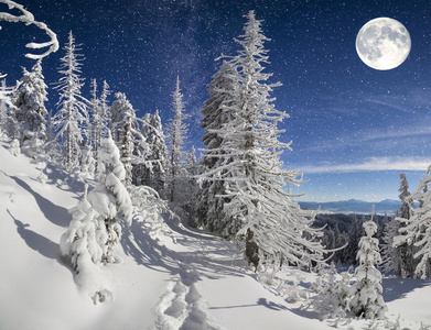 山林中美丽的夜晚冬季景观